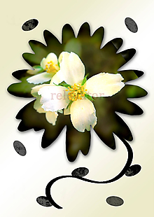 Grafika - Kvety v kvete (drobný) (neviniatka) - 10989746_
