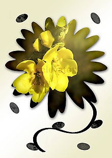 Grafika - Kvety v kvete (drobný) (vylúhované v čaji) - 10990002_