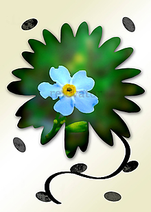 Grafika - Kvety v kvete (drobný) (zábudlivec) - 10990003_