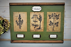 Tabuľky - Botanický obrázok zo starého kabinetu v zelenom I. - 10998305_