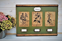 Tabuľky - Botanický obrázok zo starého kabinetu v zelenom II. - 10998321_