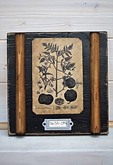 Dekorácie - Malé botanické obrázky zo starého kabinetu - zelenina (Rajčina) - 10998380_