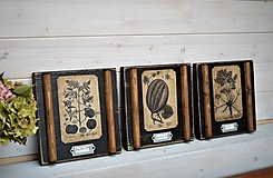 Dekorácie - Malé botanické obrázky zo starého kabinetu - zelenina (Rajčina) - 10998416_