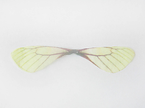 Komponenty - Prívesok Motýlie krídla, žltá/hnedá, bal.1pár - 11011188_