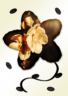 Grafika - Kvety v kvete (päť lupeňov) (karamelová pena) - 11034965_