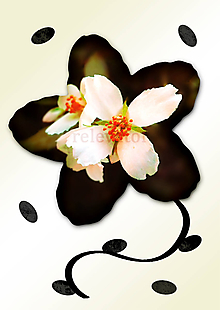 Grafika - Kvety v kvete (päť lupeňov) ((ne)nápadné) - 11034969_