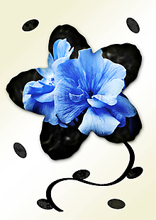 Grafika - Kvety v kvete (päť lupeňov) (modré z neba) - 11034976_