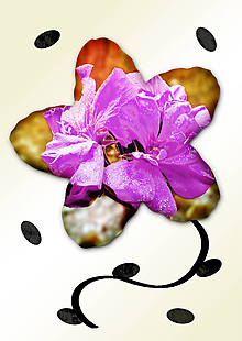 Grafika - Kvety v kvete (päť lupeňov) (čučoriedková pena) - 11034983_