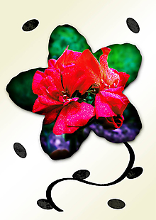 Grafika - Kvety v kvete (päť lupeňov) (malinový oheň) - 11034987_