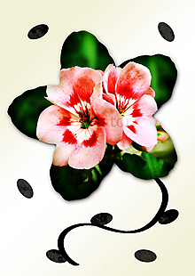 Grafika - Kvety v kvete (päť lupeňov) (nerozluční priatelia) - 11035000_