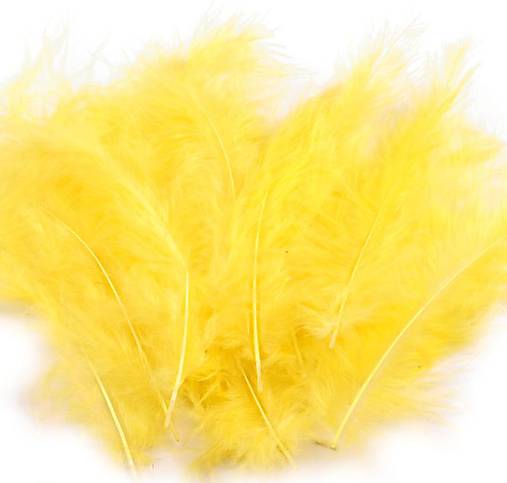 Pštrosie perie, 20 ks (žltá 2)