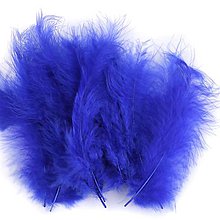 Suroviny - Pštrosie perie, 20 ks (kráľovská modrá 28) - 11086562_