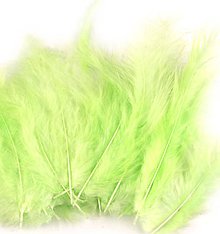 Suroviny - Pštrosie perie, 20 ks (zelená - svetlá 30) - 11086604_