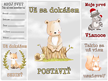 Papiernictvo - Milnikove kartičky sive zvieratá 30 ks (A5) - 11091384_