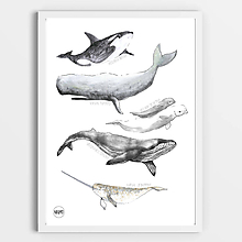Kresby - Art Print - veľryby - 11161062_