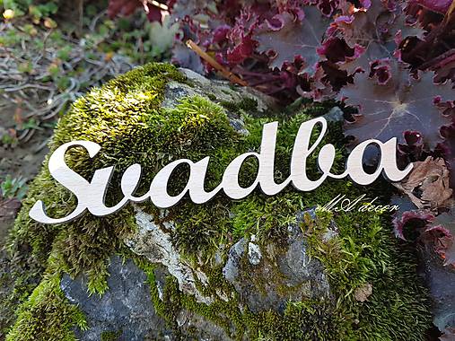 Iný materiál - Nápis svadba 2 - 11176925_