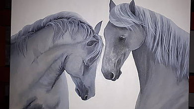Obrazy - S láskou koní a ku koňom. - 11258740_