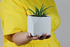 Betónový kvetináč Cube (šedý)