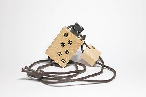 Papiernictvo - DREVENÉ USB_LABKY - 11276445_