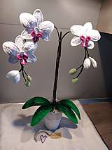 Dekorácie - Orchidea - 11285910_