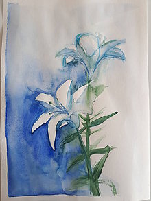 Obrazy - Akvarel originál Něžné lilie - 11291495_