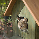 Pre zvieratá - Mačací domček na zimu - 11314929_