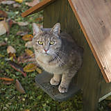 Pre zvieratá - Mačací domček na zimu - 11314931_