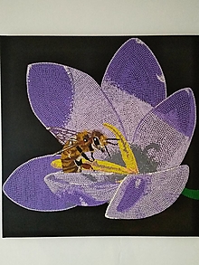 Obrazy - Zachráňme včely - 11314233_