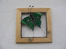 Obrazy - Motýľ Emanuel 4 - obraz - 11330121_