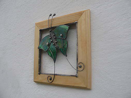 Motýľ Emanuel 4 - obraz