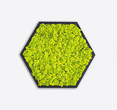 Obrazy - Machový obraz Hexagon - 11344478_