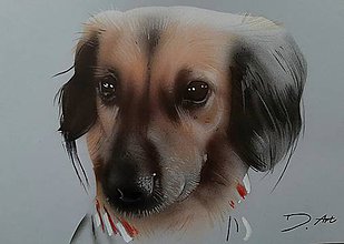 Obrazy - Portrét psíka (nakreslený) - 11367460_