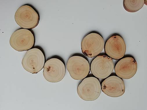 Drevené plátky - jabloň (priemer 3,5 - 4 cm)
