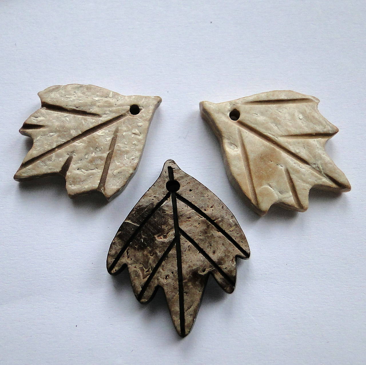 List kokos 2,5cm-1ks