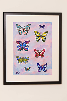 Obrazy - Zbierka motýľov - 11392952_
