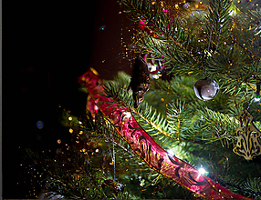 Fotografie - Vianočný strom - Detail 1 - 11404361_