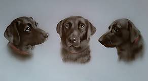 Obrazy - Portréty psíkov (nakreslené!) - 11456677_