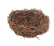 Polotovary - vtáčie hniezdo, priemer 12 cm - 11461617_