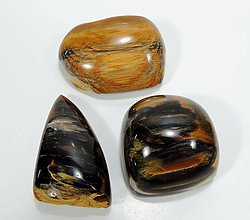 Minerály - Drevný opál Poľana - 11468096_