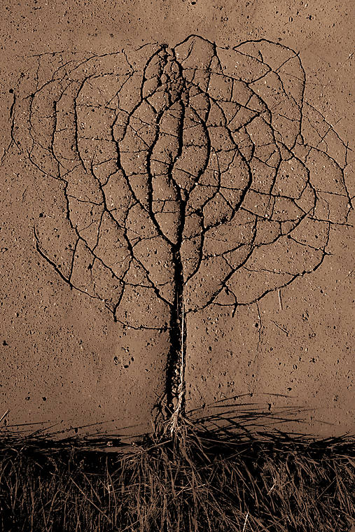 Asfaltový strom