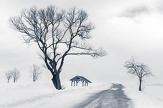 Fotografie - Zimná krajina - 11478500_