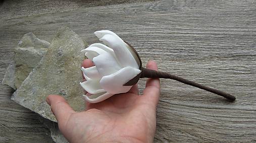  - Kvet 6,5 x 18 cm, 1 ks - dopredaj (biely) - 11496699_