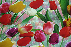 Textil - Tulipány úplet digi - 11591217_