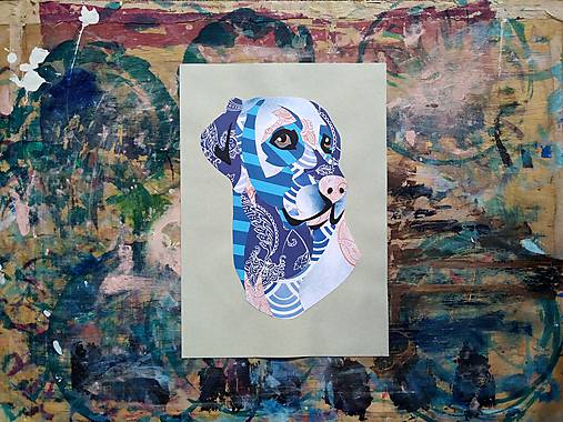 Obrazy - Labrador /print na plátne/ - 11595810_