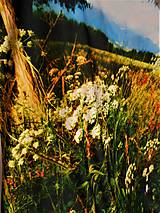 Mikiny - Mikina s nákrčníkom " Lúčne trávy a byliny"  (tričko s krátkym rukávom) - 11633937_