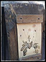Dekorácie - Vidiecky botanický obrázok margarétka - 11633249_