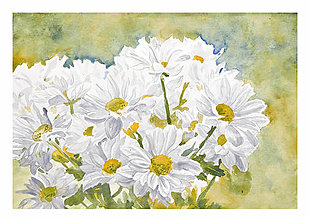 Obrazy - Biele kvety - 11649245_
