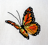 Dekorácie - Obrázok - Motýľ oranžový - 11706377_