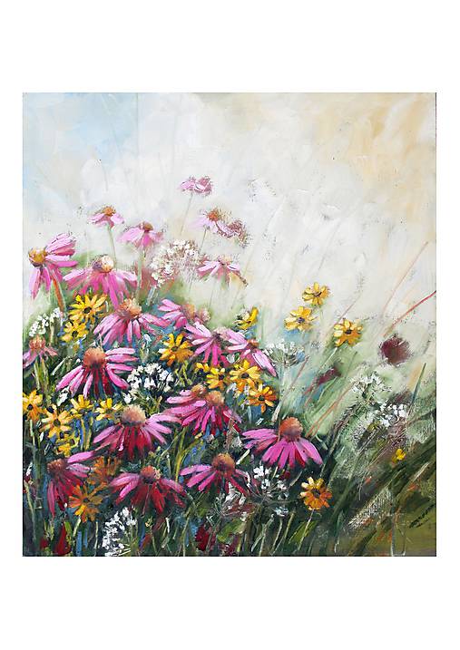 Obrazy - Echinacey - 11714937_