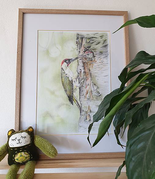 Kresby - Print - Kresba: Pár ďatľov - 11724478_